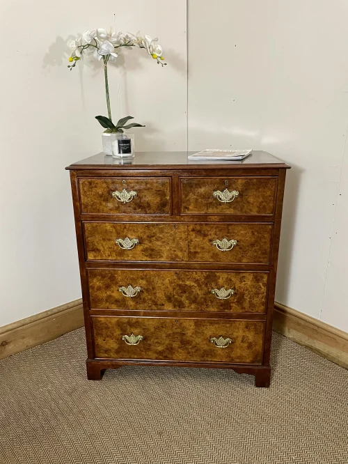 20th Century Antique Burr Walnut Chest of Drawers